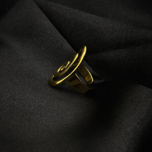 Bague plaquet spirale en acier inoxydable