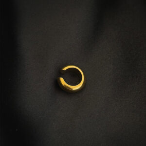 Boucles petit créole plaquet or en acier inoxydable